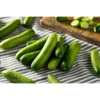 Cucumber  (6)-9302285-82362.webp